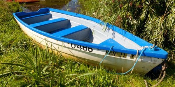 Wayford Bridge Fishing Boat Hire 